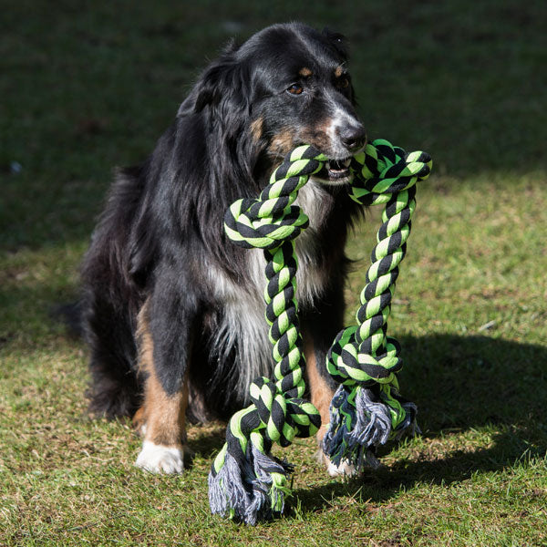 Ringe & Taue für Hunde