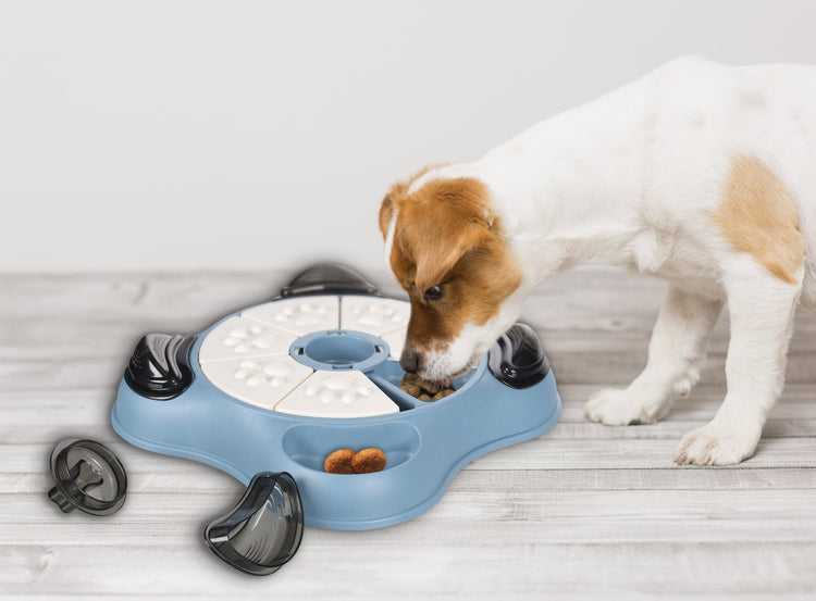 Intelligenz- & Beschäftigungsspielzeuge für Hunde