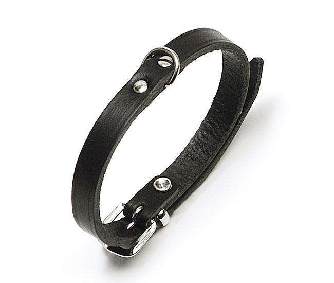 Rondo Genietetes Hundehalsband – Stilvolle Robustheit für deinen Vierbeiner