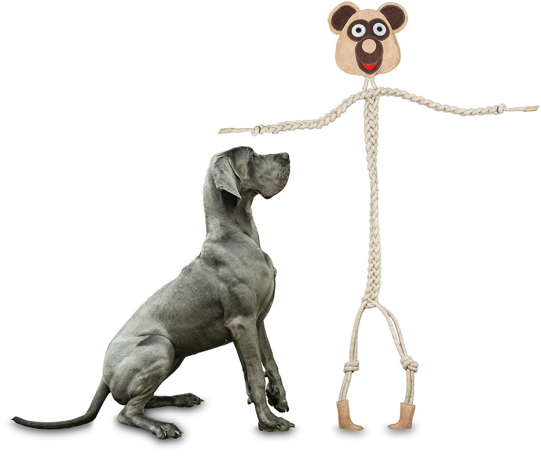 Knuffelwuff Mr. Willy – Das wahrscheinlich größte Hundespielzeug der Welt!