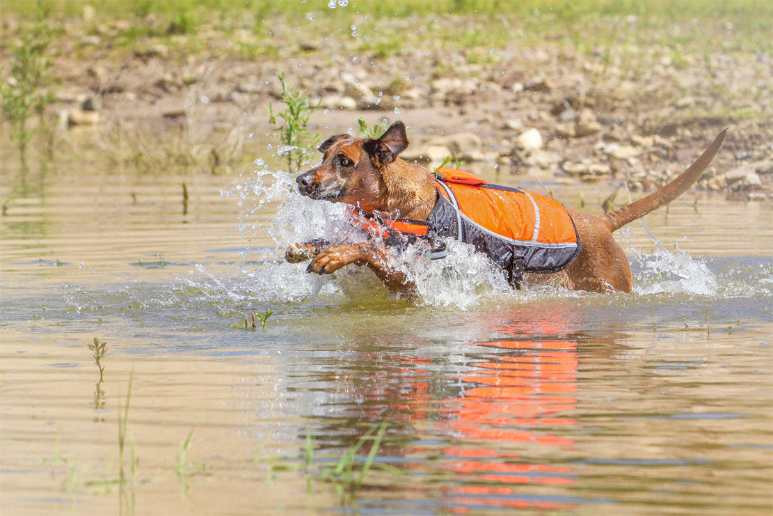 Knuffelwuff Hunde-Schwimmweste Storm