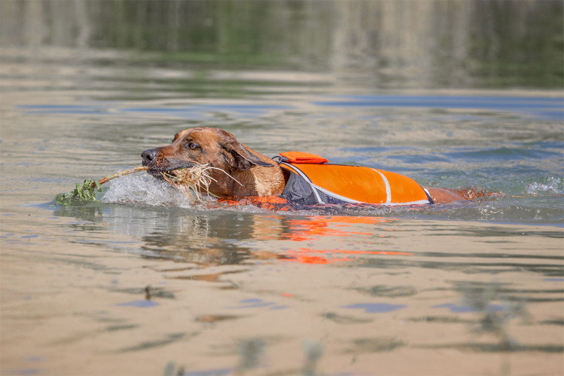 Knuffelwuff Hunde-Schwimmweste Storm
