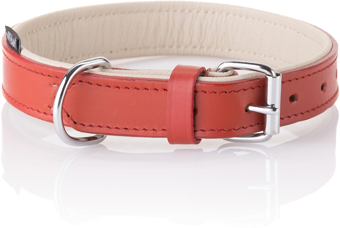 Knuffelwuff weiches Echtleder Hundehalsband Basic Plus