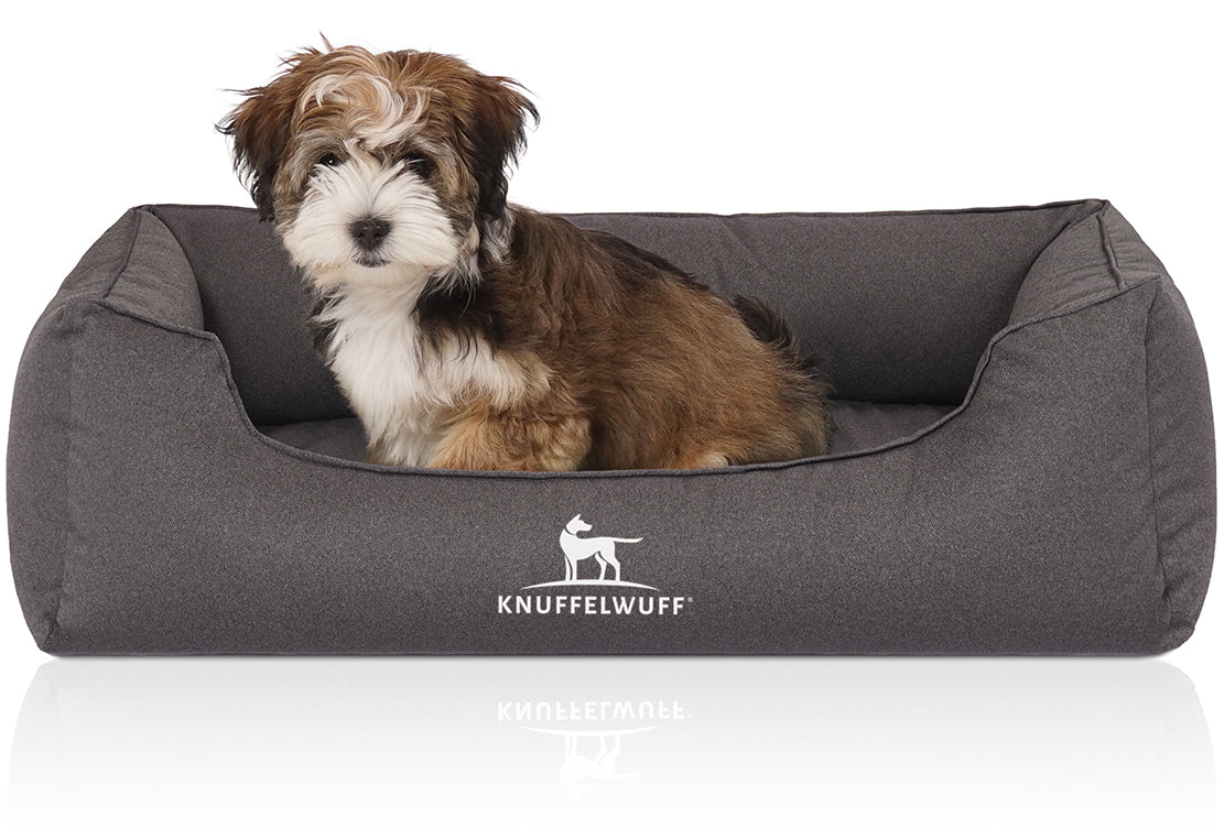 Orthopädisches Hundebett Leon von Knuffelwuff – Höchster Komfort für eine gesunde Erholung