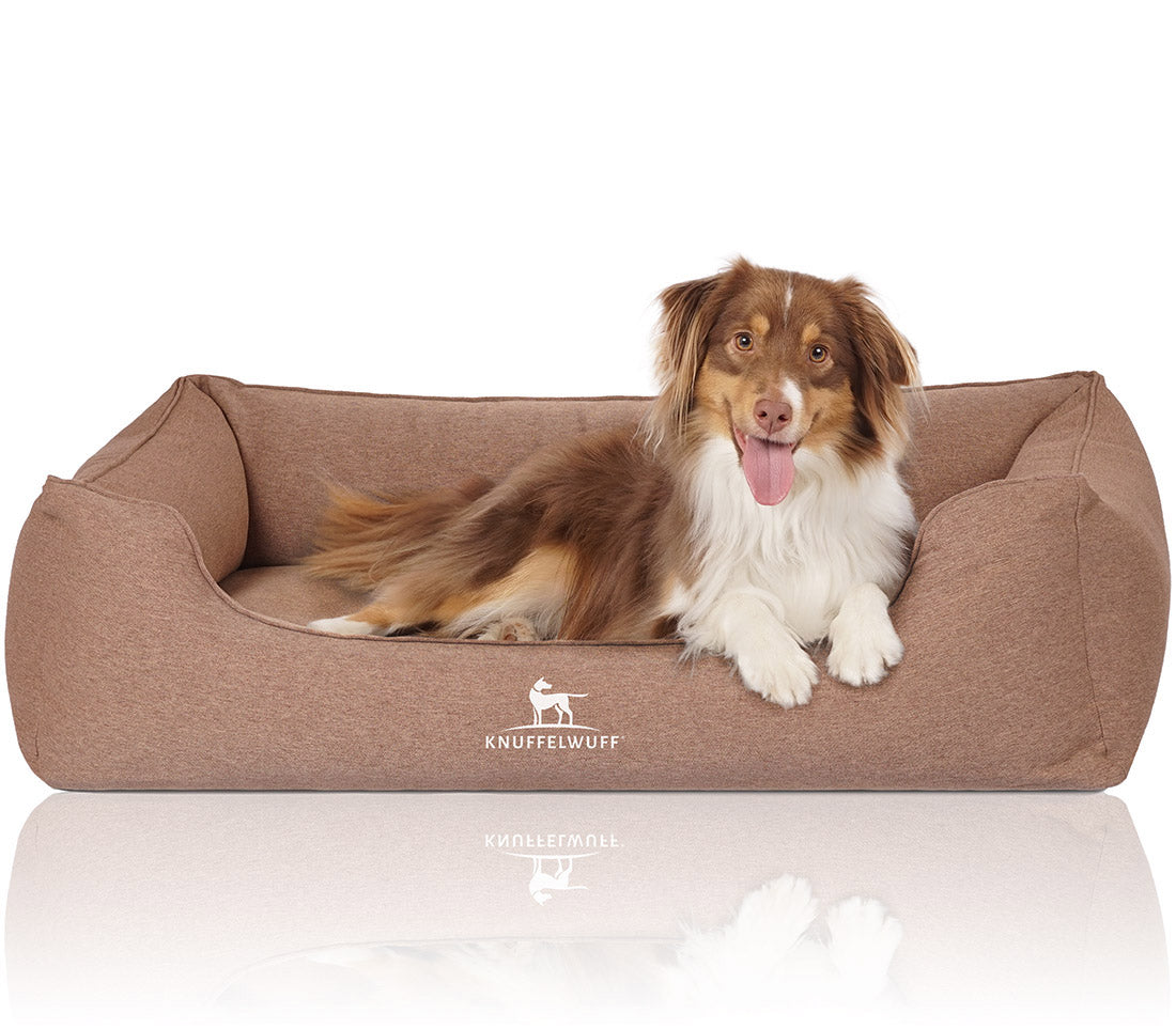 Knuffelwuff Orthopädisches Hundebett Leano – Ergonomischer Komfort mit stilvollem Design