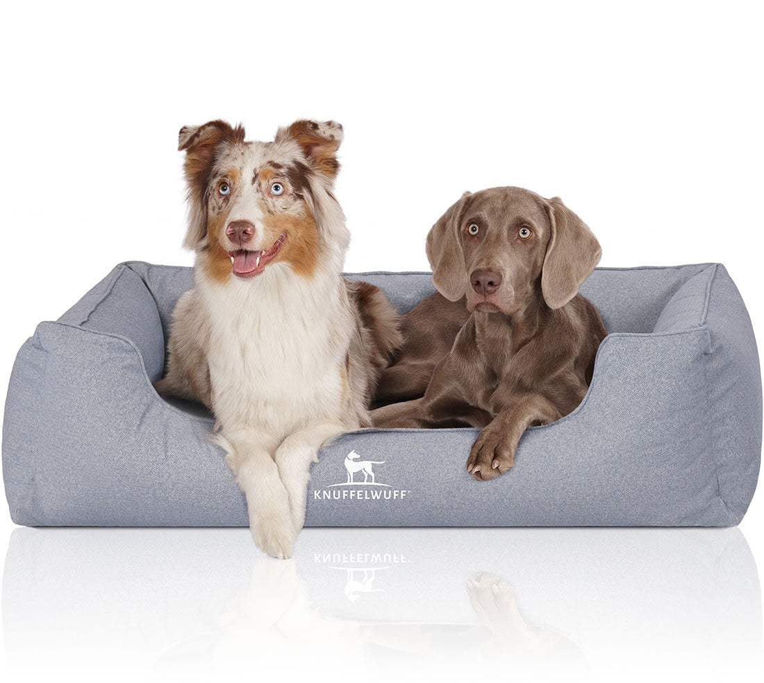 Knuffelwuff Orthopädisches Wasserabweisendes Hundebett Malou – Stil, Komfort und Gesundheit in Perfektion