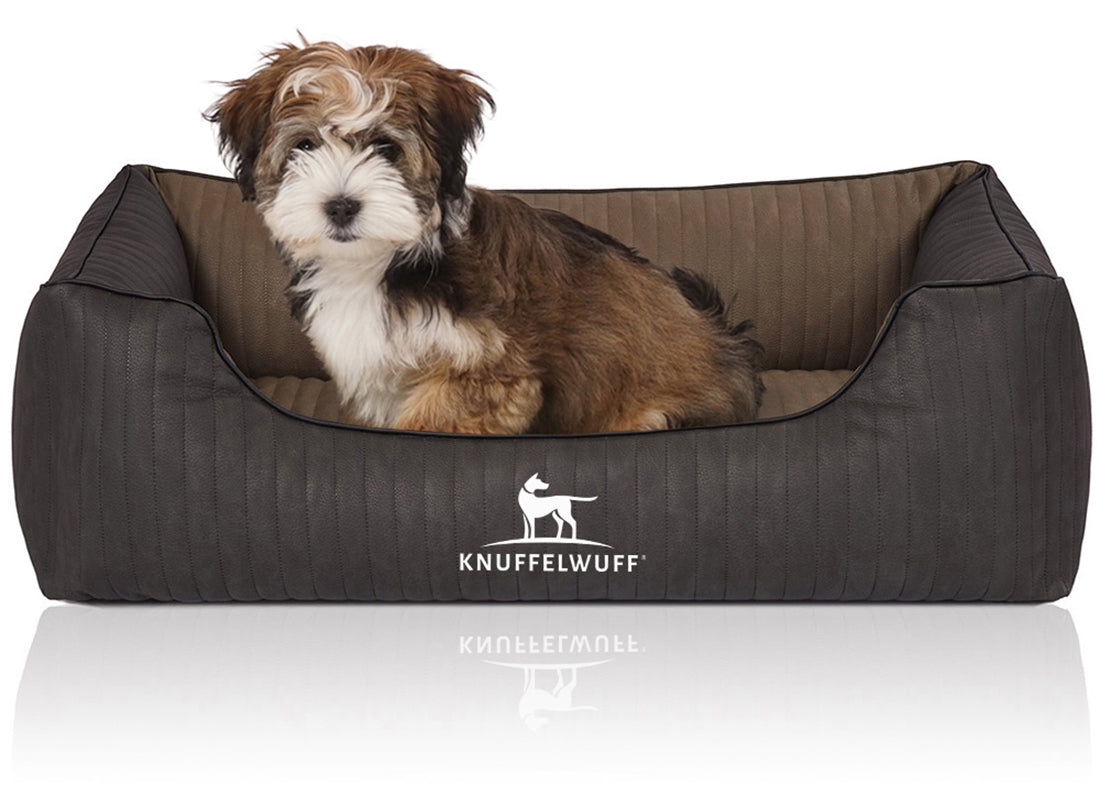 Knuffelwuff Orthopädisches Hundebett Outback – Luxus & Gesundheit für deinen Vierbeiner