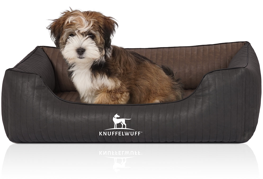 Knuffelwuff Orthopädisches Hundebett Rough Road – Robustes Design trifft auf höchsten Komfort