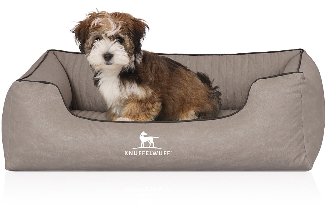 Knuffelwuff Orthopädisches Hundebett Columbia – Eleganz & Komfort für deinen Vierbeiner