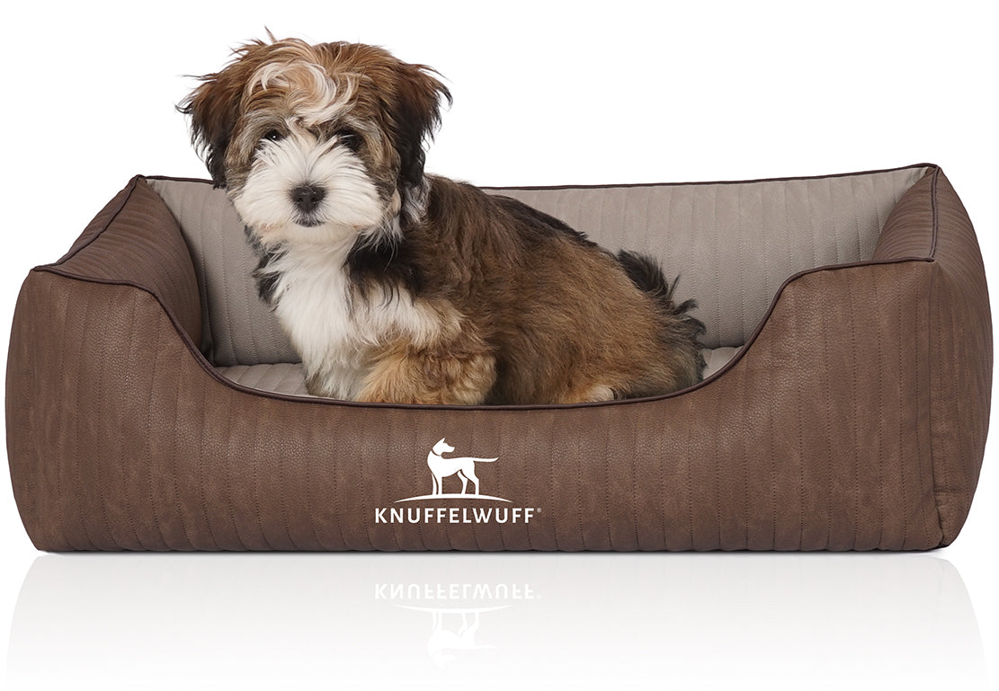 Knuffelwuff Orthopädisches Hundebett Outlander – Stil, Komfort und Gesundheit in Einem