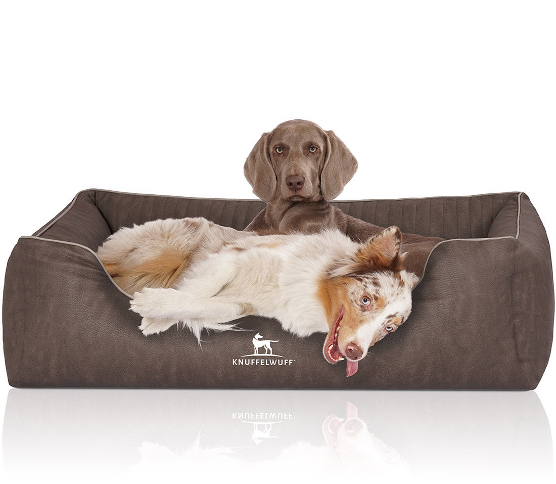 Knuffelwuff Orthopädisches Hundebett Tampa – Eleganz trifft auf höchsten Komfort