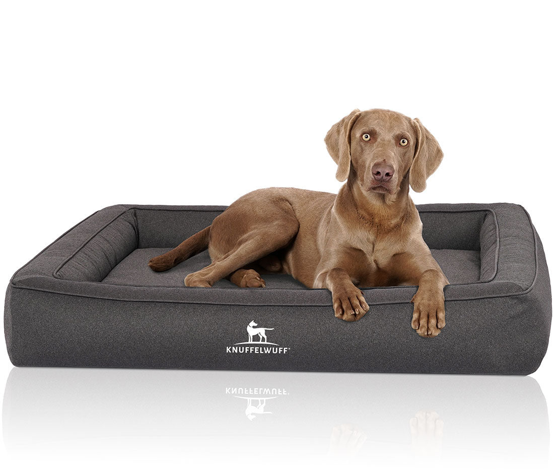 Knuffelwuff Orthopädisches Hundebett Yukon – Perfekter Komfort für deinen Vierbeiner