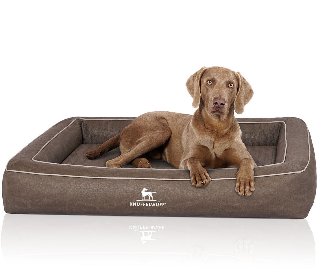 Knuffelwuff Orthopädisches Hundebett Montego – Luxuriöser Schlafkomfort für höchste Ansprüche