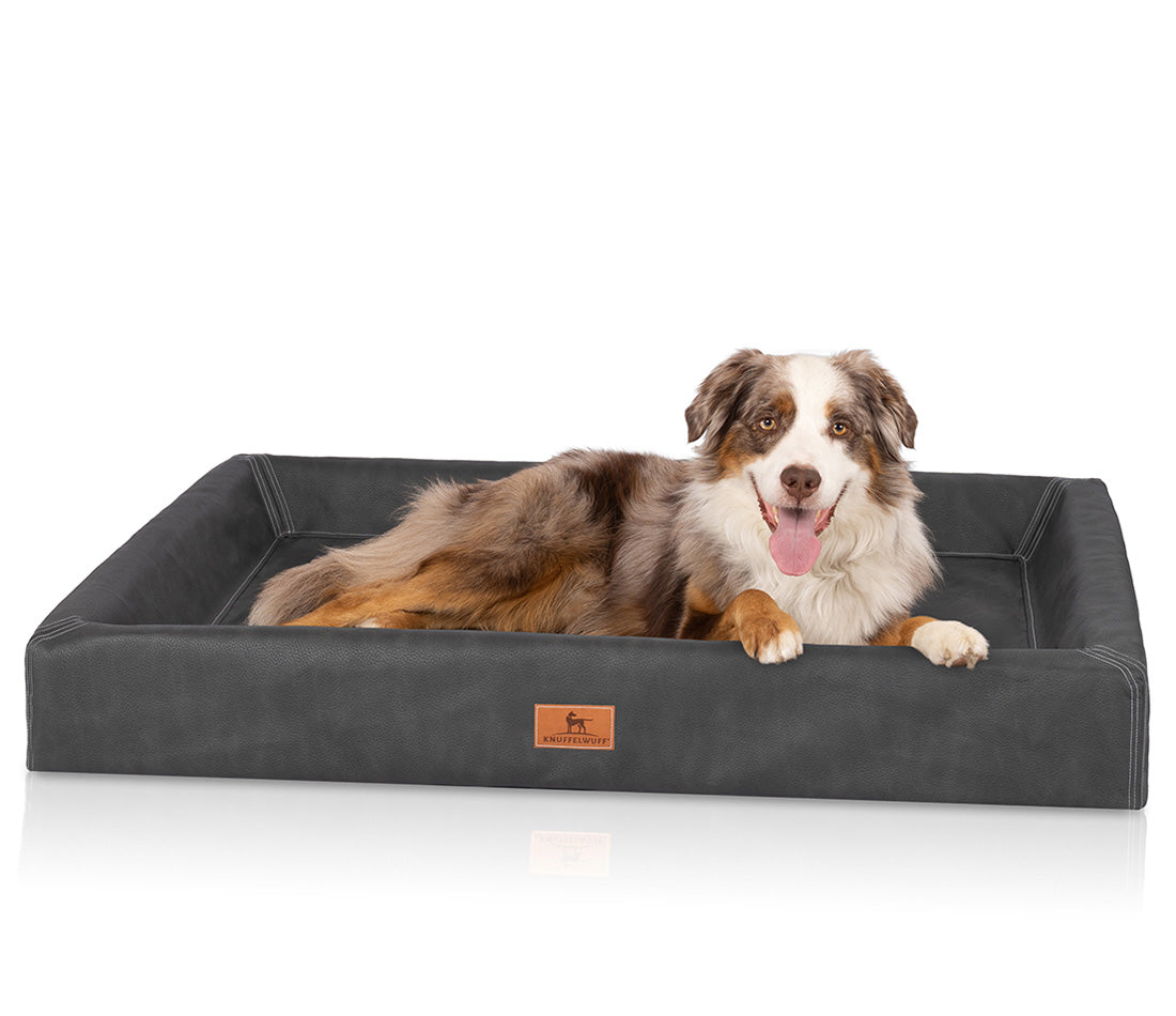 Knuffelwuff Orthopädisches Hundebett Austin – Pflegeleicht, Komfortabel & Gelenkschonend