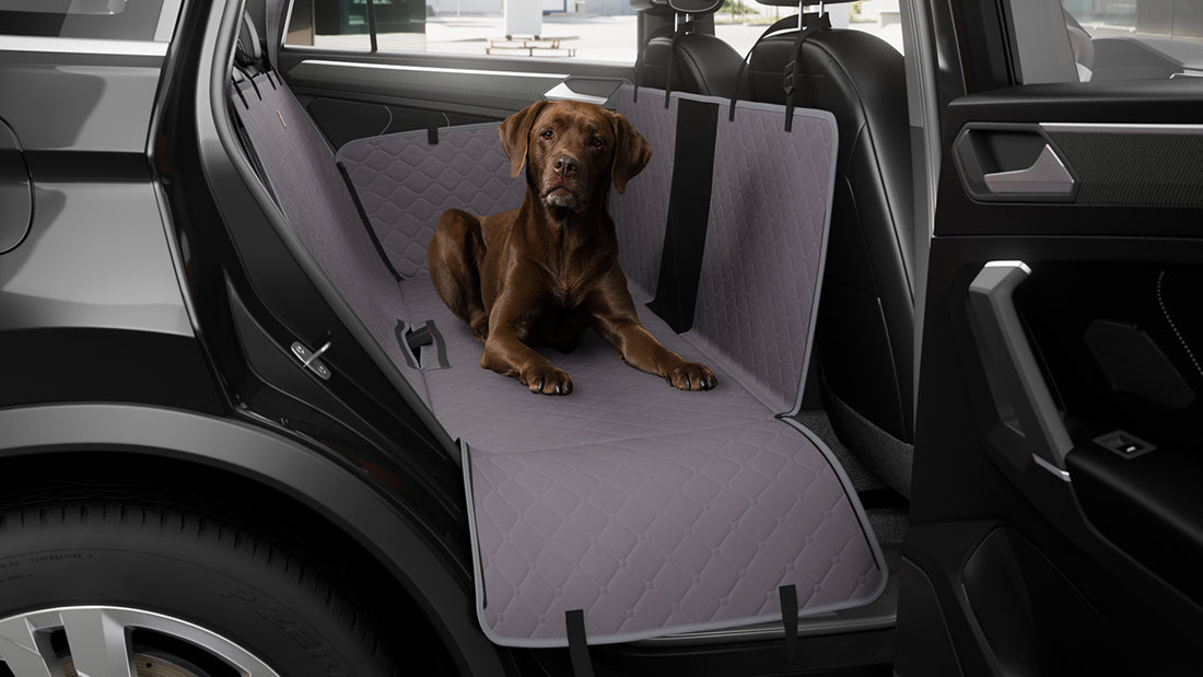 Knuffelwuff universal AutoSchondecke Teito