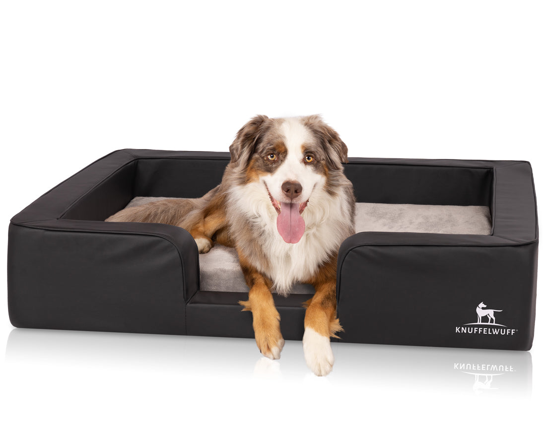 Knuffelwuff Orthopädisches Hundebett Indianapolis – Ultimativer Komfort für deinen Vierbeiner