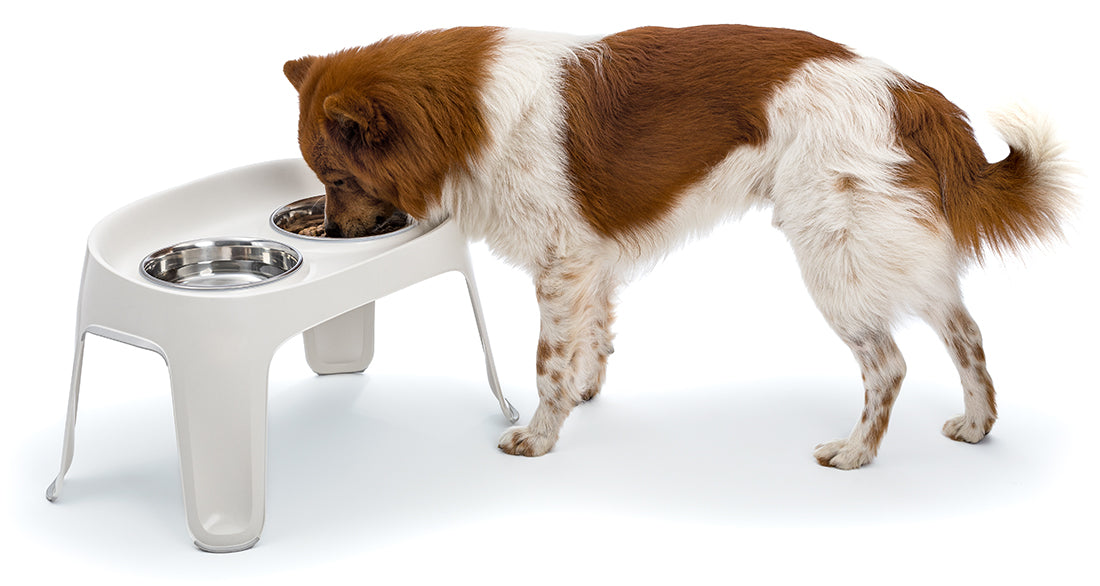 Knuffelwuff Highbar Futterstation Weiß – Komfortabel, stilvoll und funktional für deinen Hund!