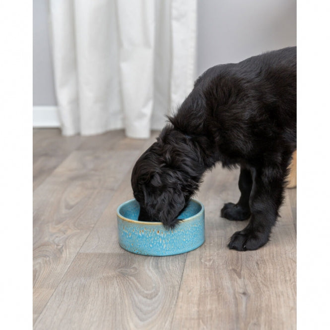 Trixie Keramiknapf für Hunde im Zeitlosen Design