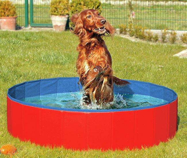 Karlie DOGGY POOL – Sommer, Sonne, Wasserspaß für Ihren Vierbeiner