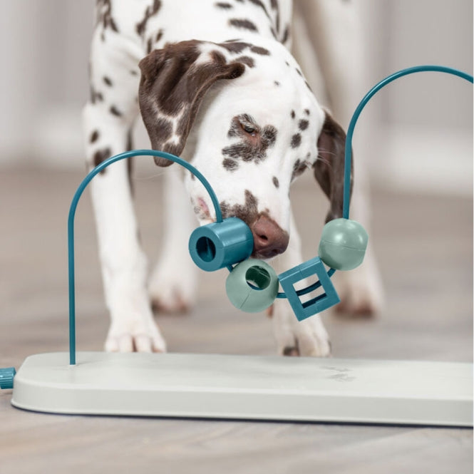 Trixie Dog Activity Skills Loop - Motorikschleife mit 4 Schiebeelementen – Fördert die Geschicklichkeit deines Hundes