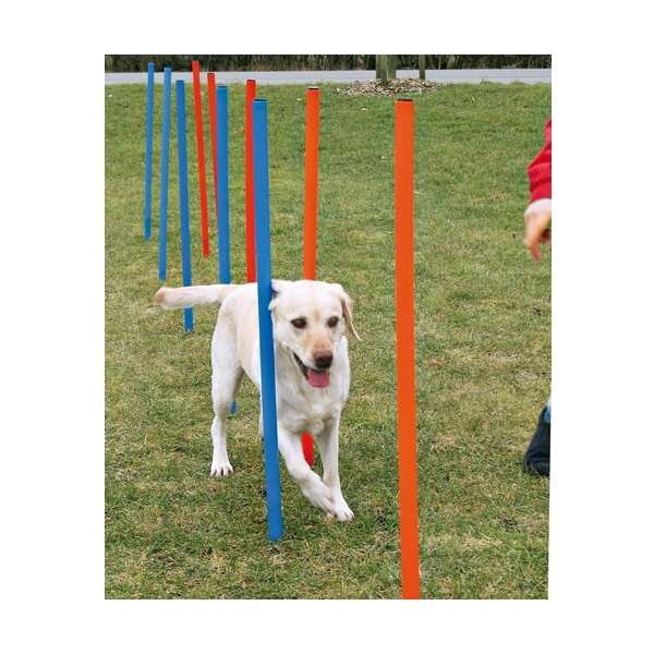 Trixie Agility-Slalom-Set – Für Fitness, Spaß und eine starke Mensch-Hund-Bindung