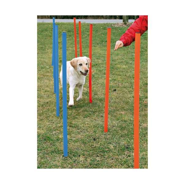 Trixie Agility-Slalom-Set – Für Fitness, Spaß und eine starke Mensch-Hund-Bindung