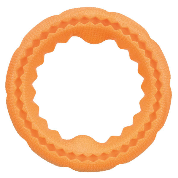 Trixie TPR-Ring – Der schwimmfähige Spielring für aktive Hunde