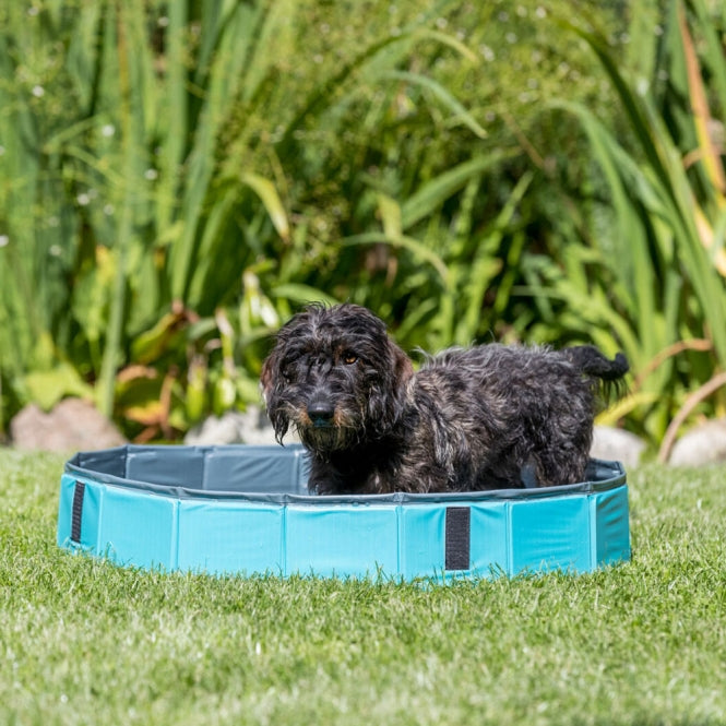 Trixie Hundepool – Abkühlung leicht gemacht