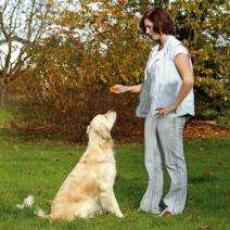 Karlie Doppelclicker – Zwei Töne, doppelte Trainingsvielfalt