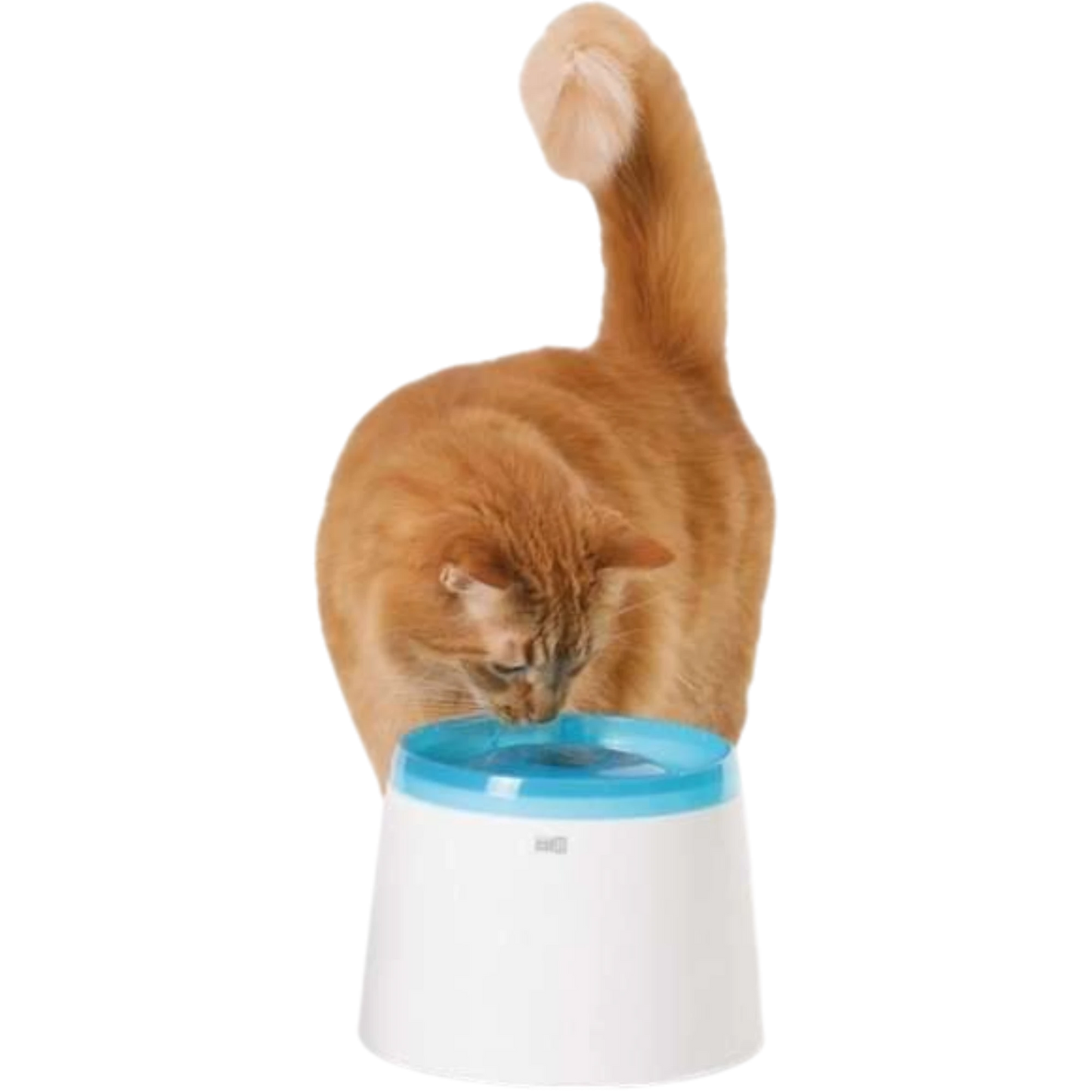 CATIT Fresh+Clear Trinkbrunnen 2L – Frisches Wasser für ein gesundes Haustierleben