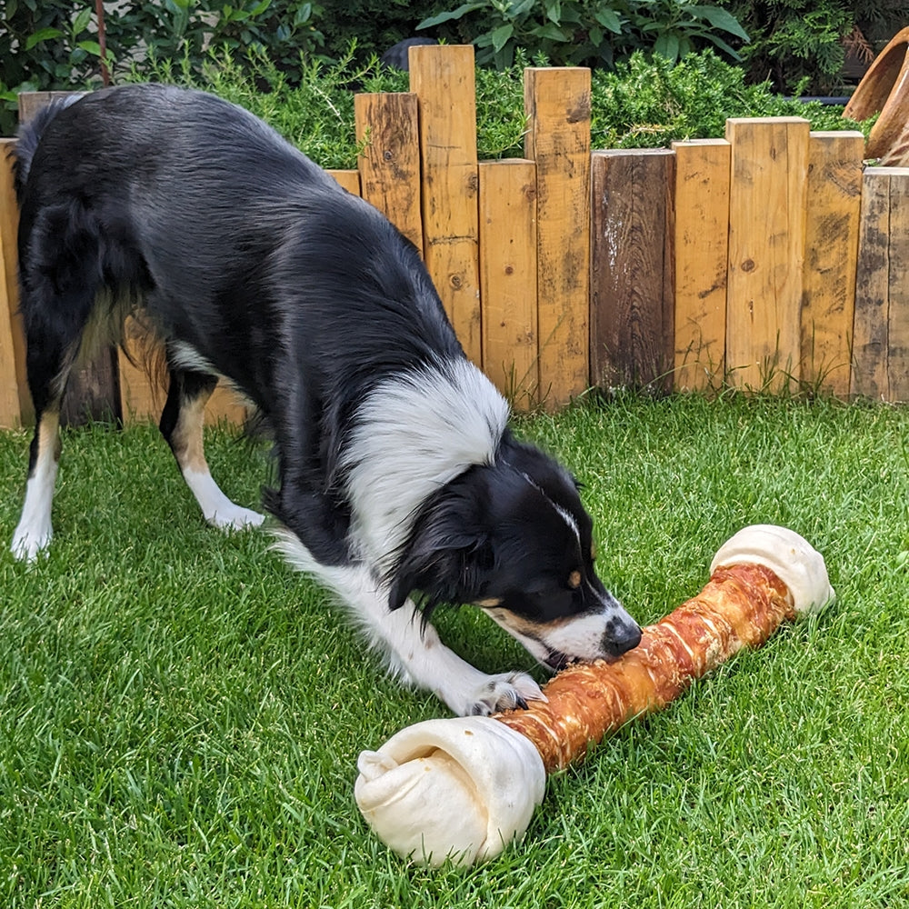 StarSnack BBQ Chicken Knotted Bone – Knoten für Kauspaß, gemacht für große Hunde