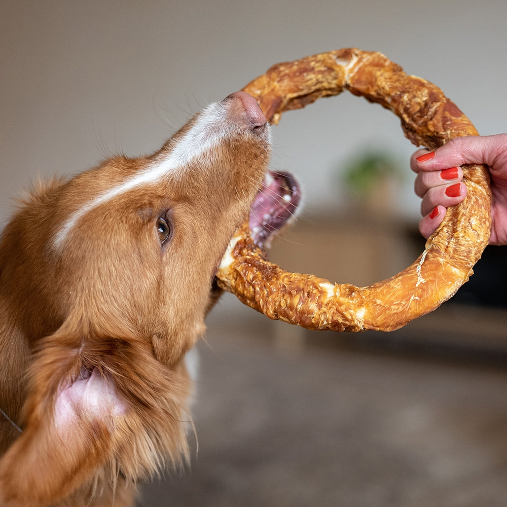 StarSnack BBQ Chicken Donut XL – Der große Kauring für das ganz große Kauvergnügen