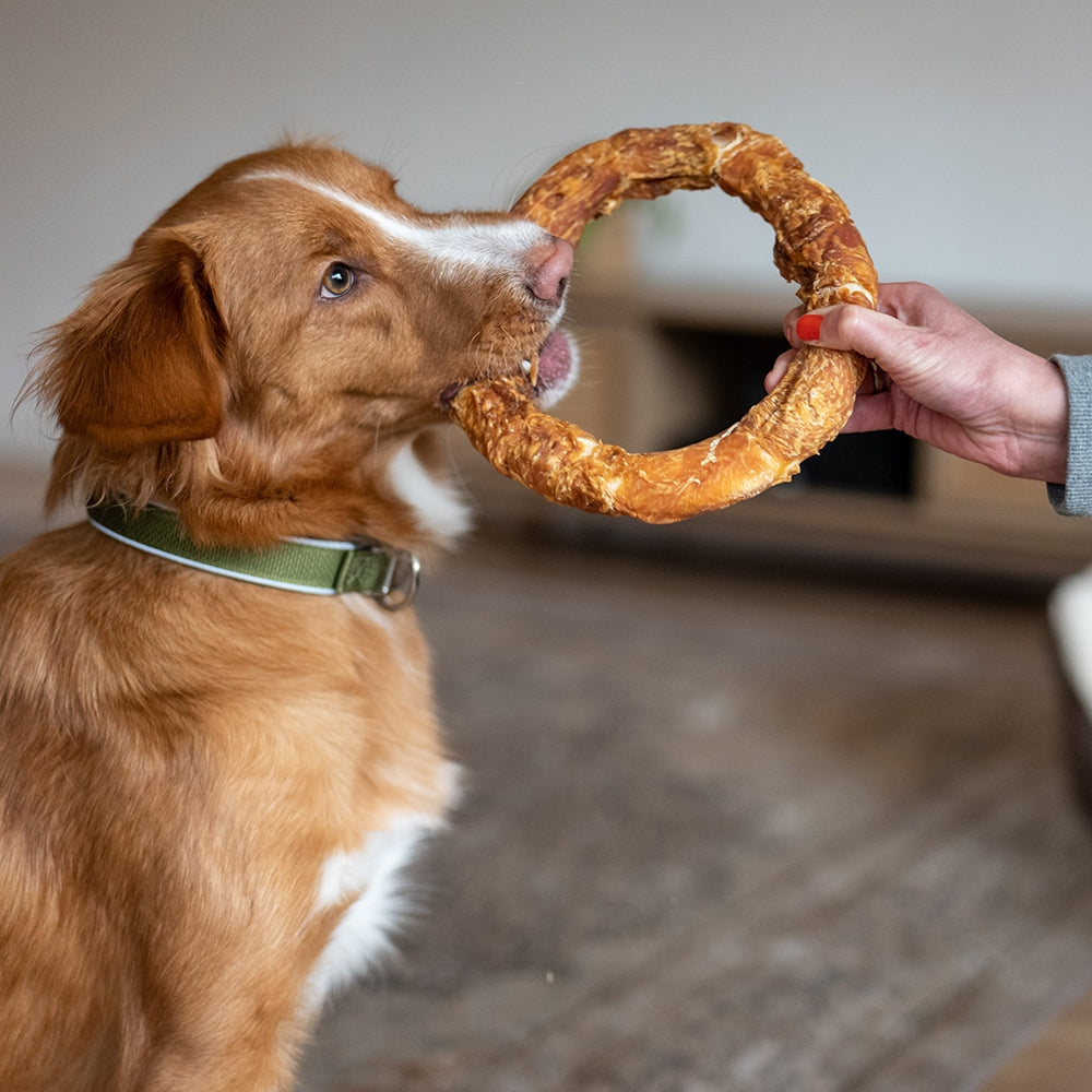 StarSnack BBQ Chicken Donut XL – Der große Kauring für das ganz große Kauvergnügen