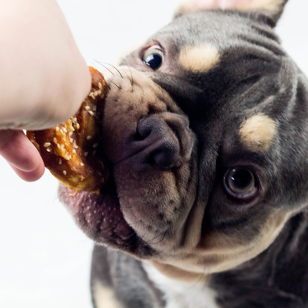 StarSnack BBQ Chicken Pretzel – Kauspaß in Brezelform für Genießer auf vier Pfoten