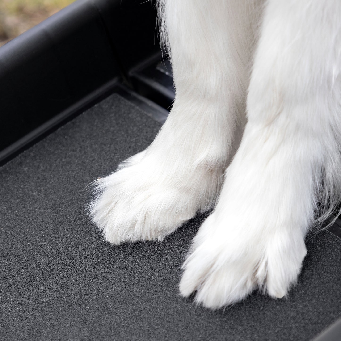 Hunderampe Svea Schwarz – Die ideale Hilfe für deinen Hund