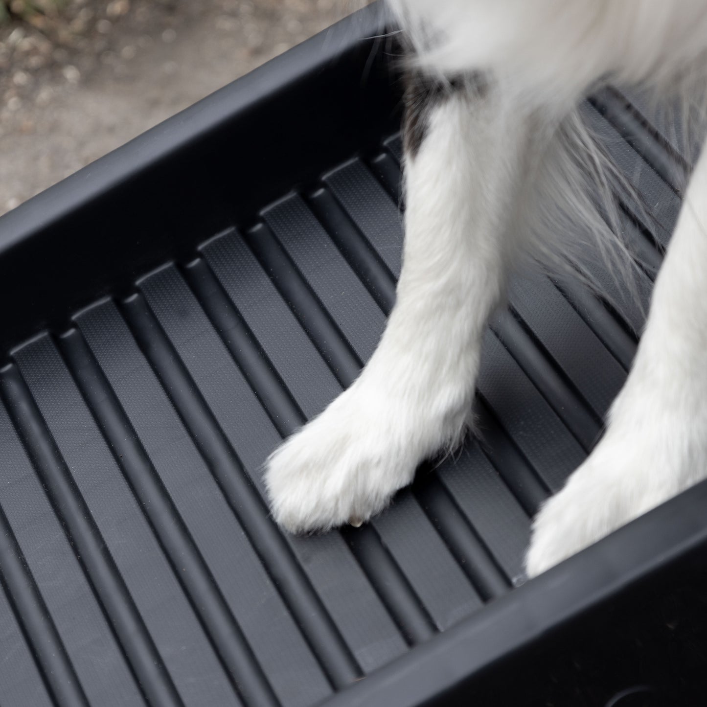 Hunderampe Dim – Die praktische Ein- und Ausstiegshilfe für Ihren Hund
