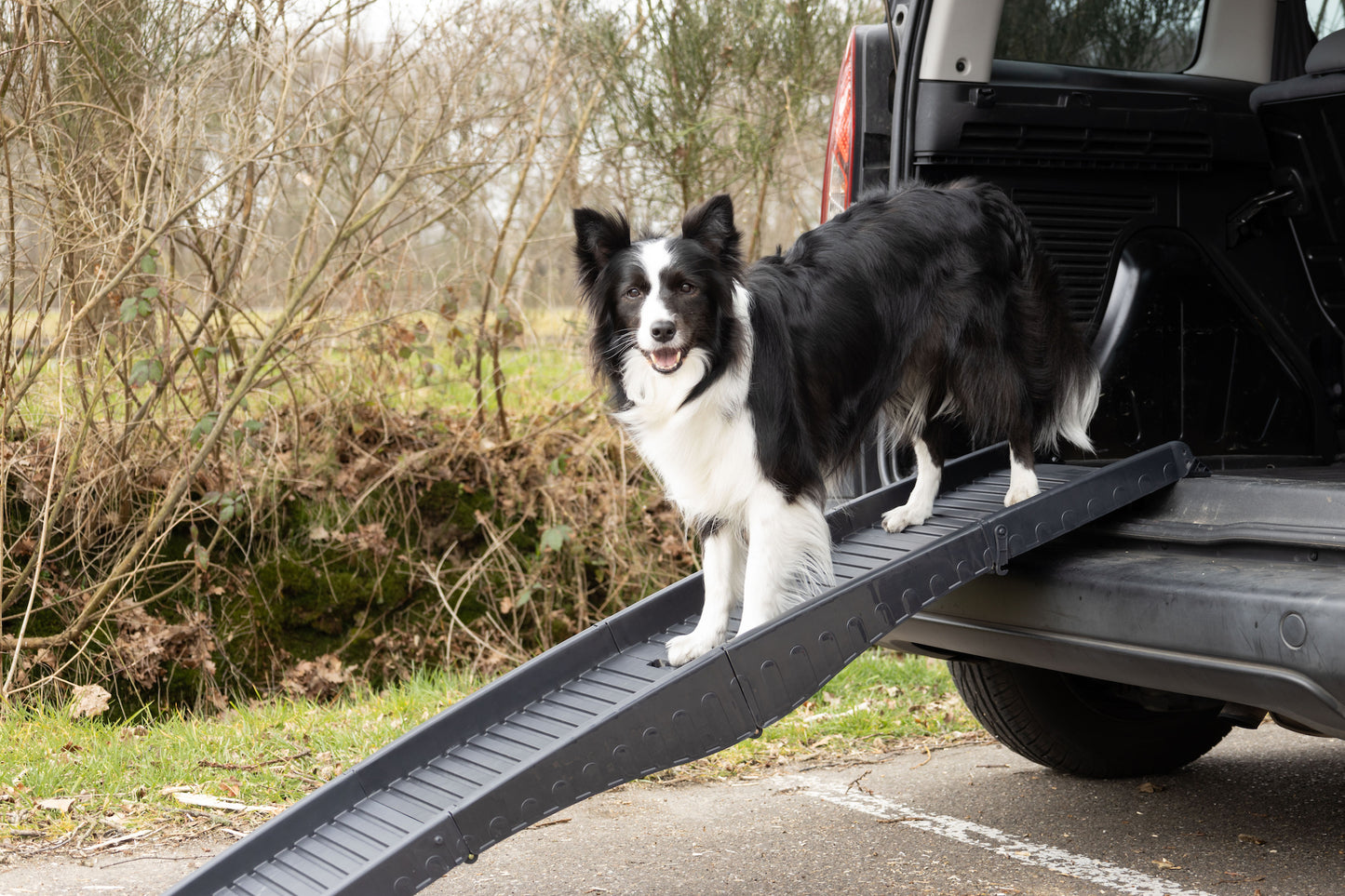Hunderampe Dim – Die praktische Ein- und Ausstiegshilfe für Ihren Hund