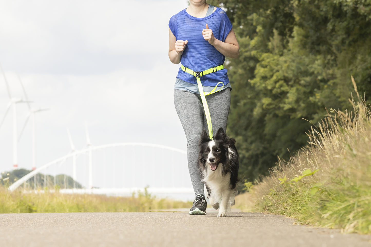 Joggingleine mit Hüftgurt Diran – Komfort & Sicherheit für aktive Spaziergänge!
