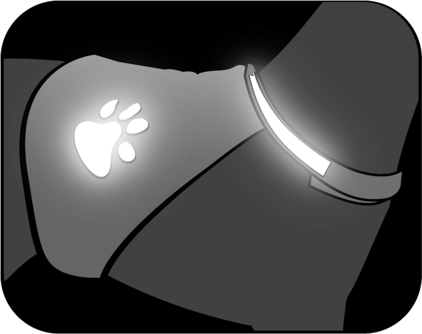 Fluoreszierende Sicherheitsweste für Hunde