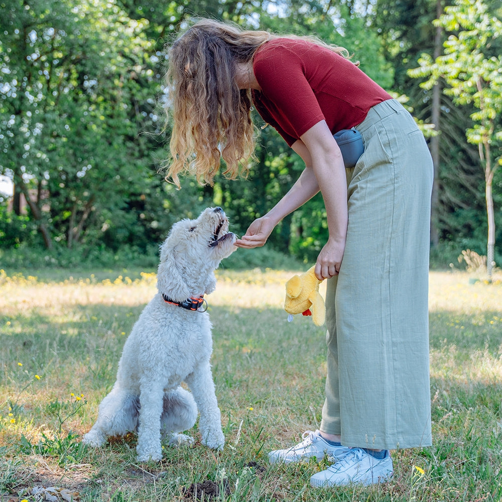 Plüschente „Emmy“ – Kuschelspaß & interaktives Spielvergnügen für deinen Hund