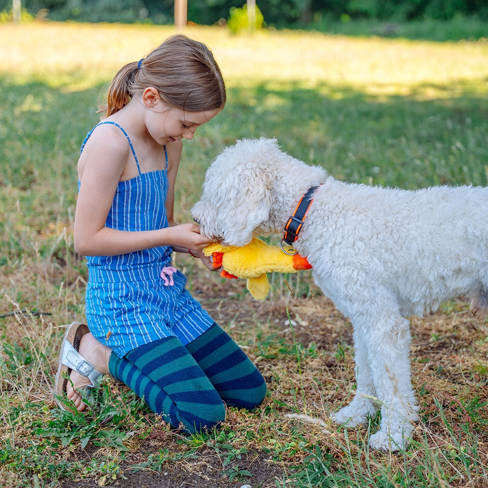 Plüschente „Emmy“ – Kuschelspaß & interaktives Spielvergnügen für deinen Hund