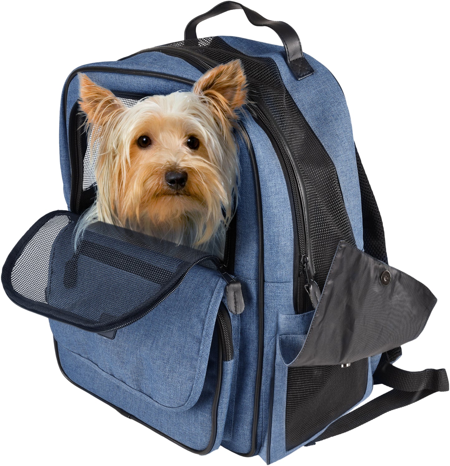 Rucksack Wiro – Komfortabler Transport für kleine Hunde & Welpen