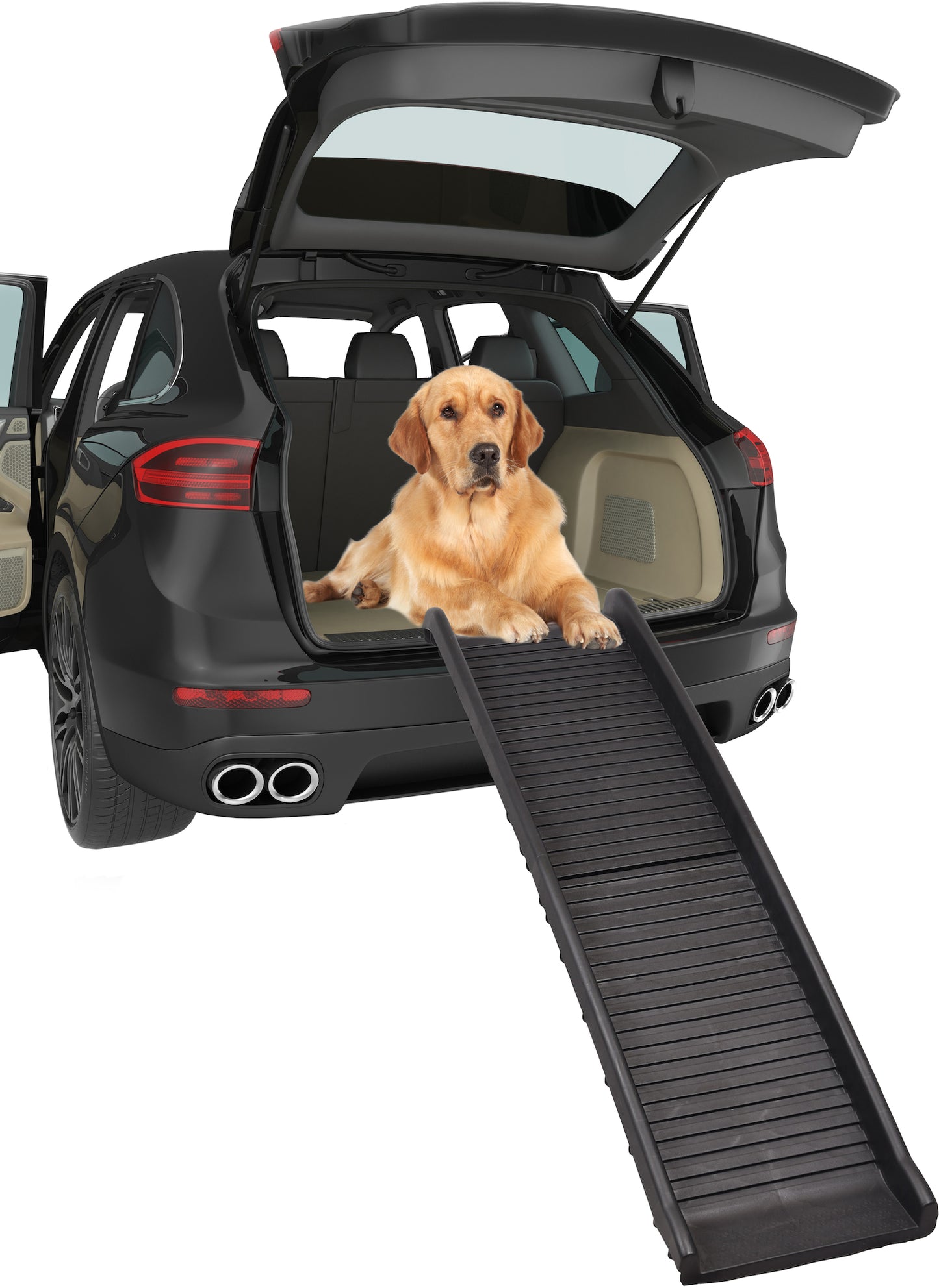 Hunderampe Zenna – Die ideale Einstiegshilfe für deinen Hund!