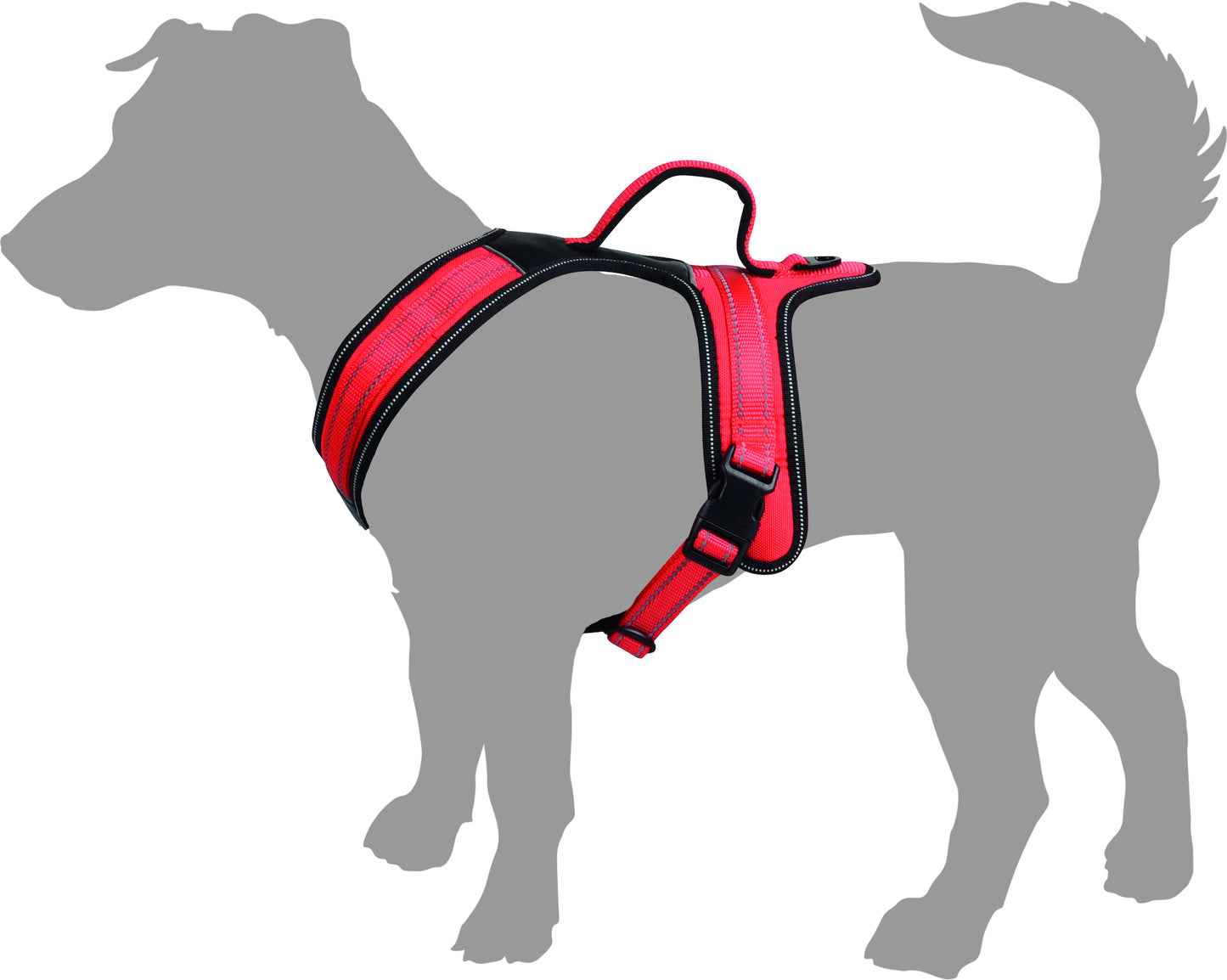 Toga Hundegeschirr – Perfekte Passform & Sicherheit bei jedem Abenteuer