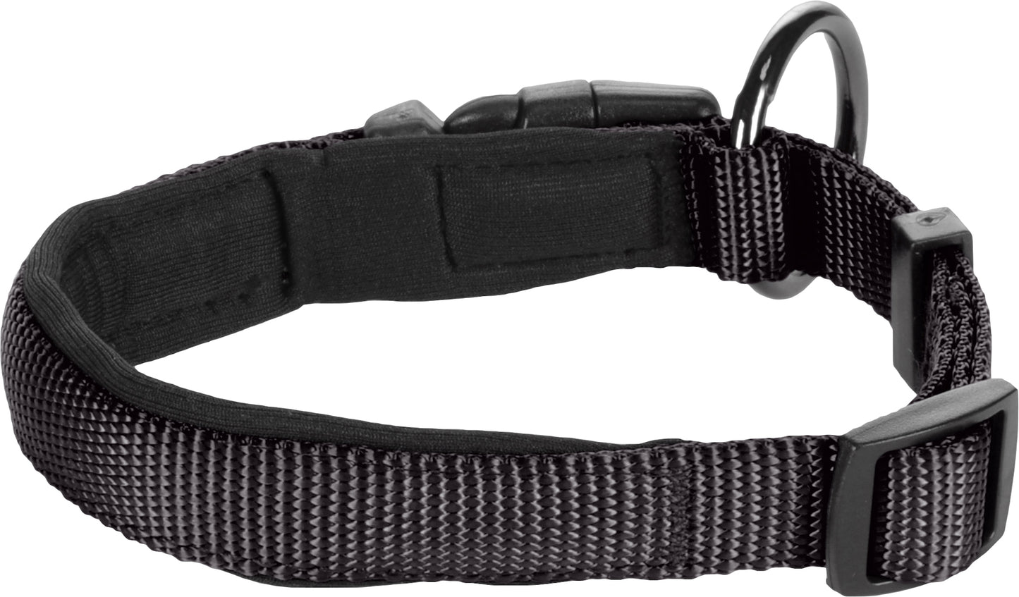 Abbi Hundehalsband – Stilvoll, Komfortabel & Funktional