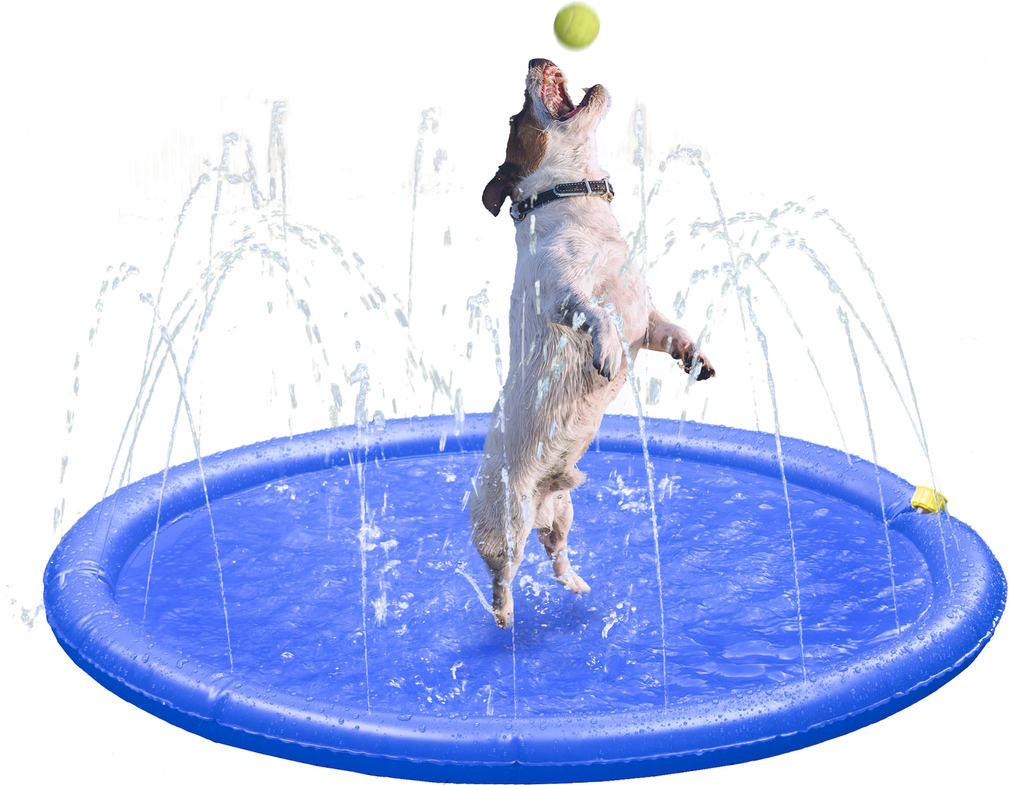 Fresk Lenny Wasserspielzeug – Sommerlicher Spritzspaß für Ihren Hund