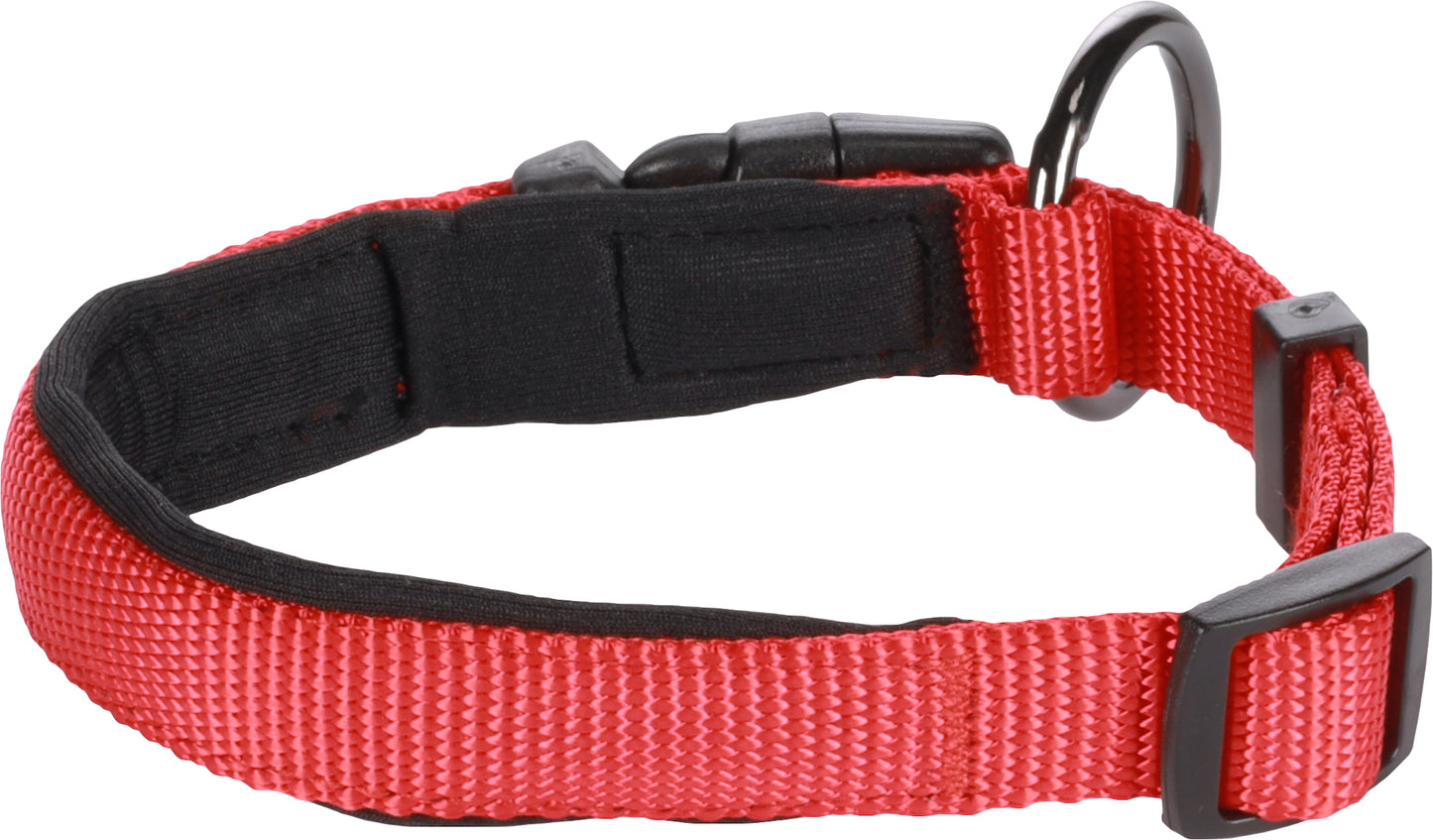 Abbi Hundehalsband – Stilvoll, Komfortabel & Funktional