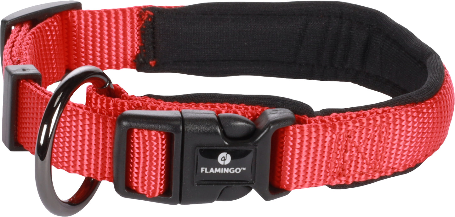 Abbi Hundehalsband – Stilvoll, Komfortabel & Funktional