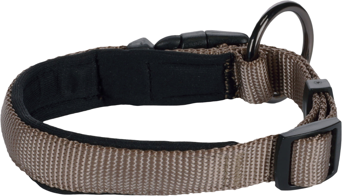 Abbi Hundehalsband – Stilvoll, Komfortabel & Funktional