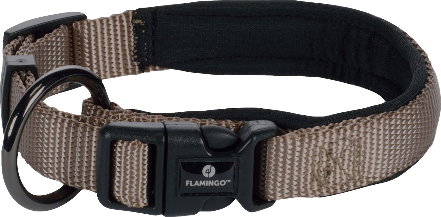 Abbi Hundehalsband – Stilvoll, Komfortabel & Funktional